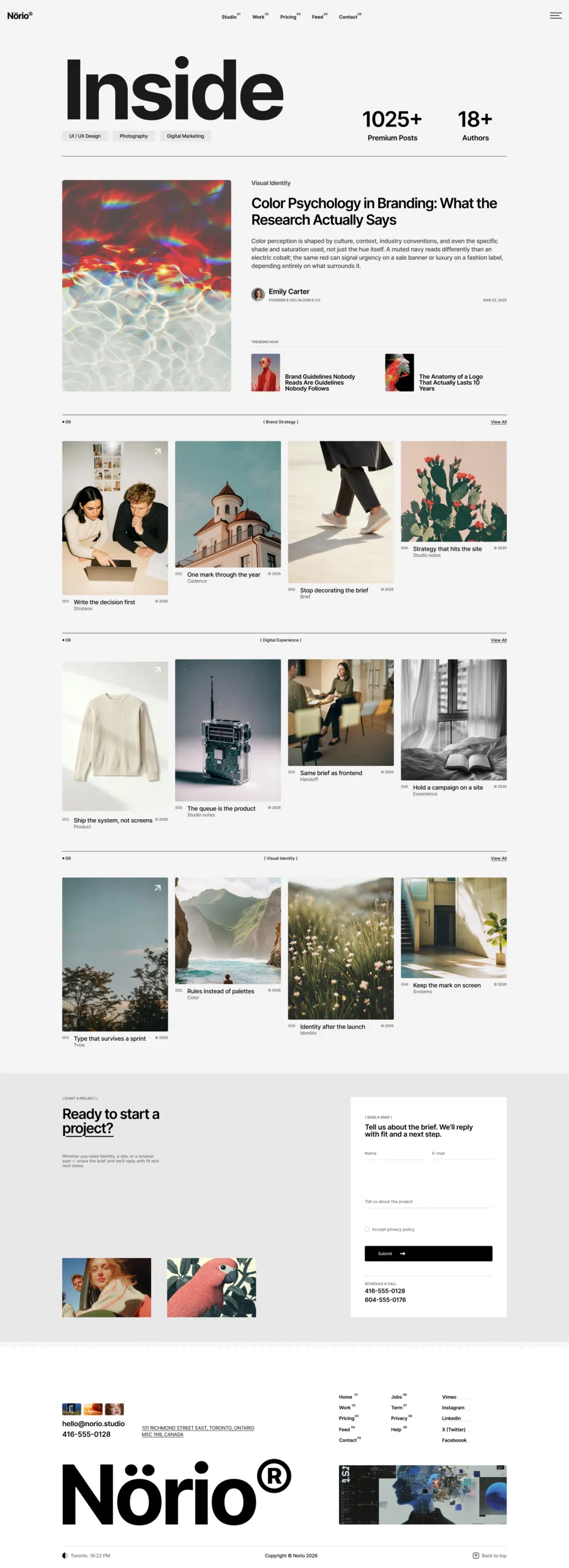 Feed preview